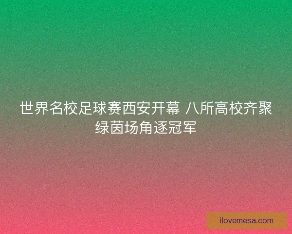 世界名校足球赛西安开幕 八所高校齐聚绿茵场角逐冠军